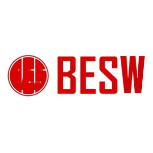 株式会社BESW