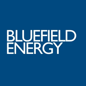 Bluefield Energy株式会社