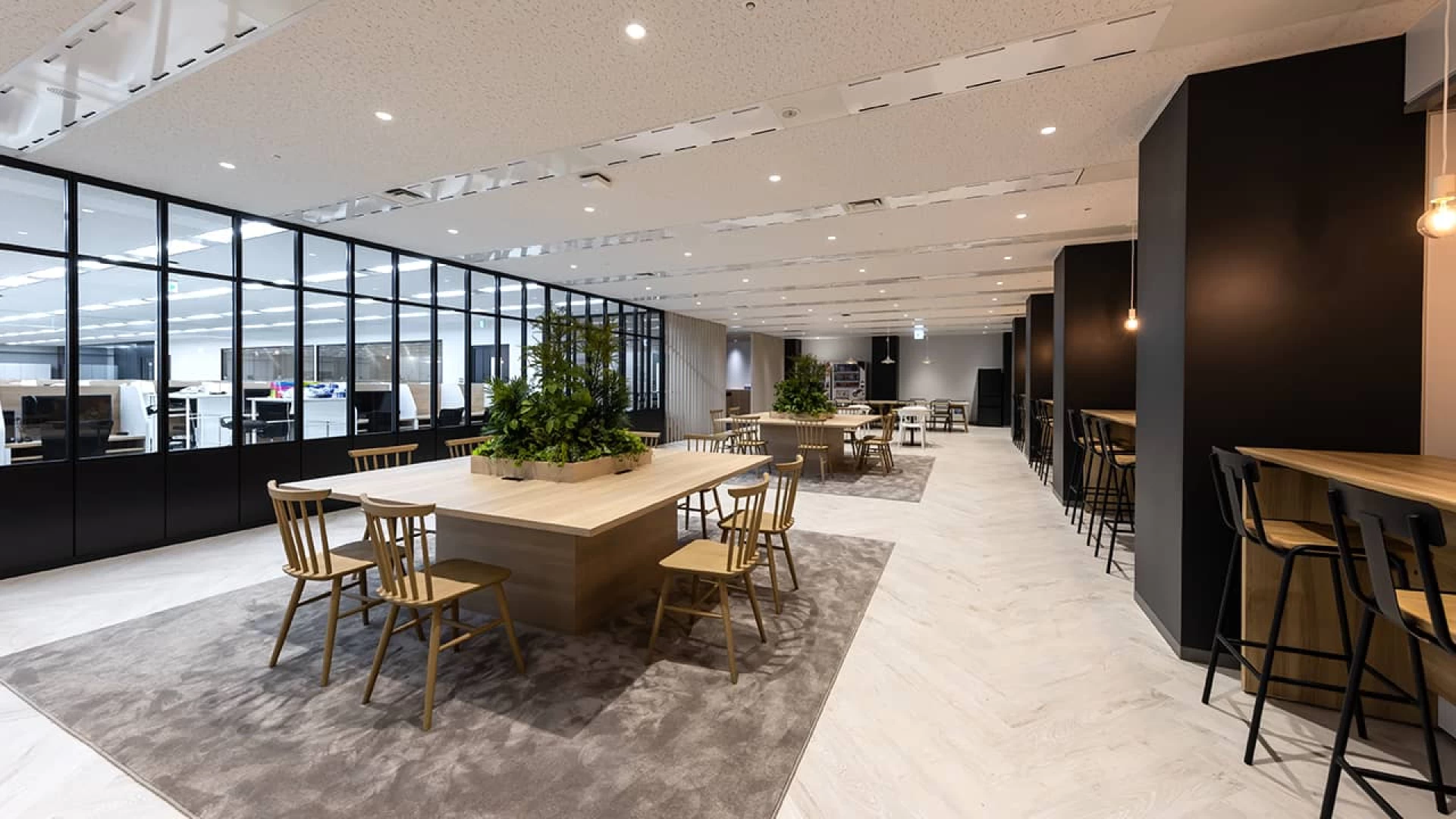 合同会社Rumorの長期インターンシップ求人・募集・企業情報