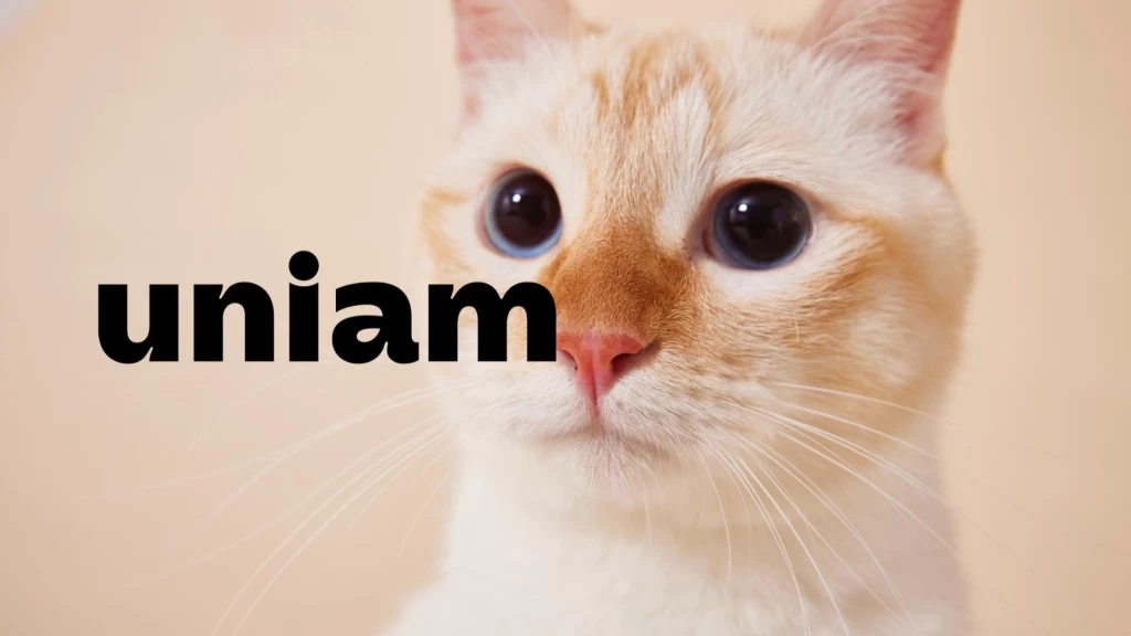 【学生インターン】SNSマーケティング/獣医師×ねこ×サイエンス／猫ヘルスケアブランドuniam