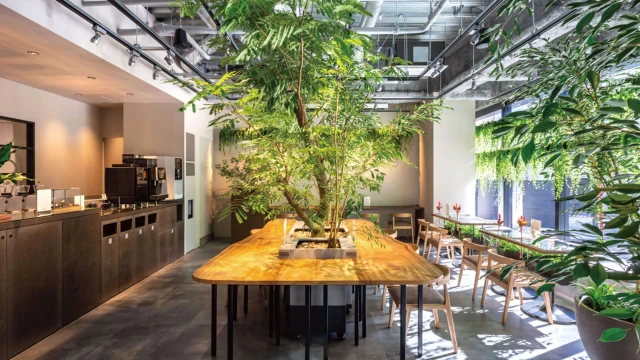 株式会社MYRIADのマーケティングインターン東京都