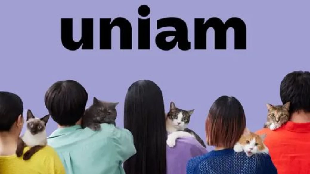 株式会社uniamのマーケティングインターン東京都
