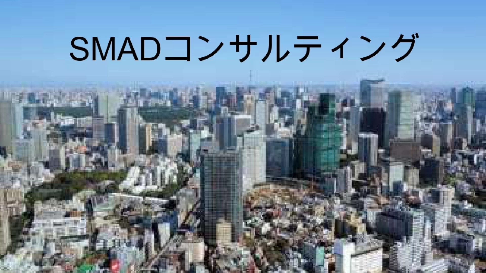 株式会社SMADコンサルティングのコンサルタントインターン大阪府