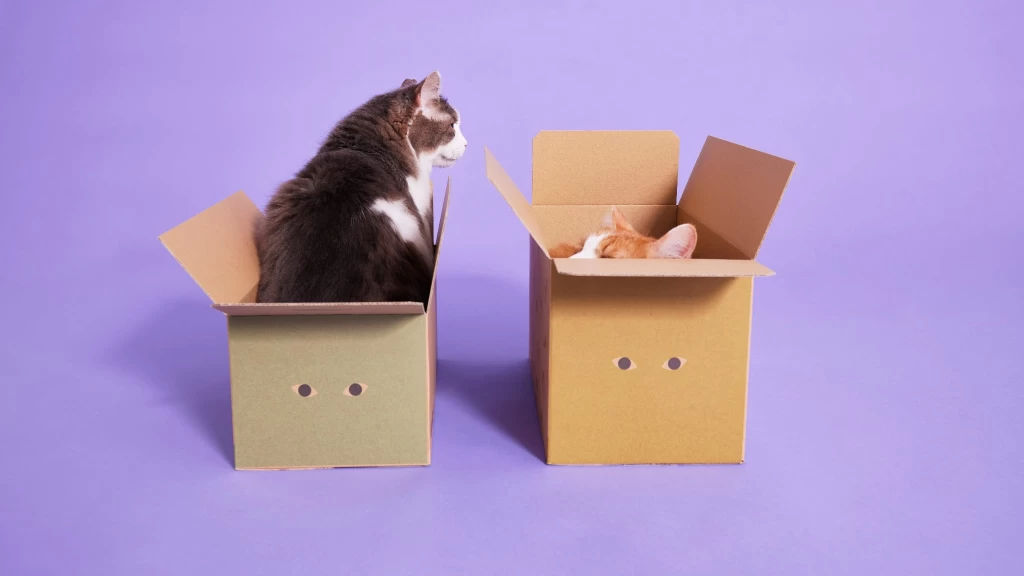 ねこヘルスケアブランドのマーケティング担当インターン募集！