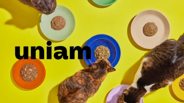 株式会社uniamの編集/ライターインターン東京都