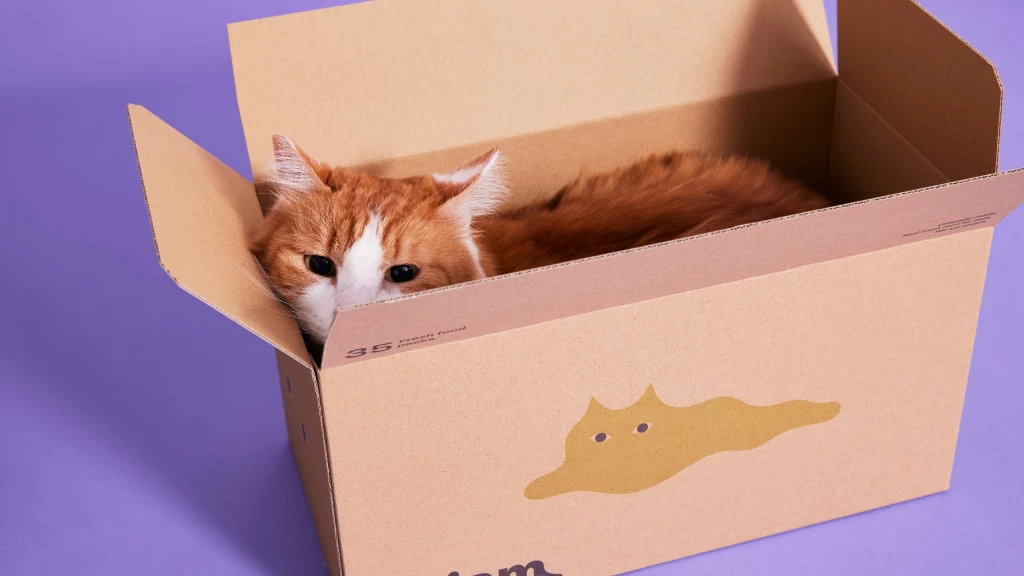 ねこヘルスケアブランドの動画編集担当インターン募集！